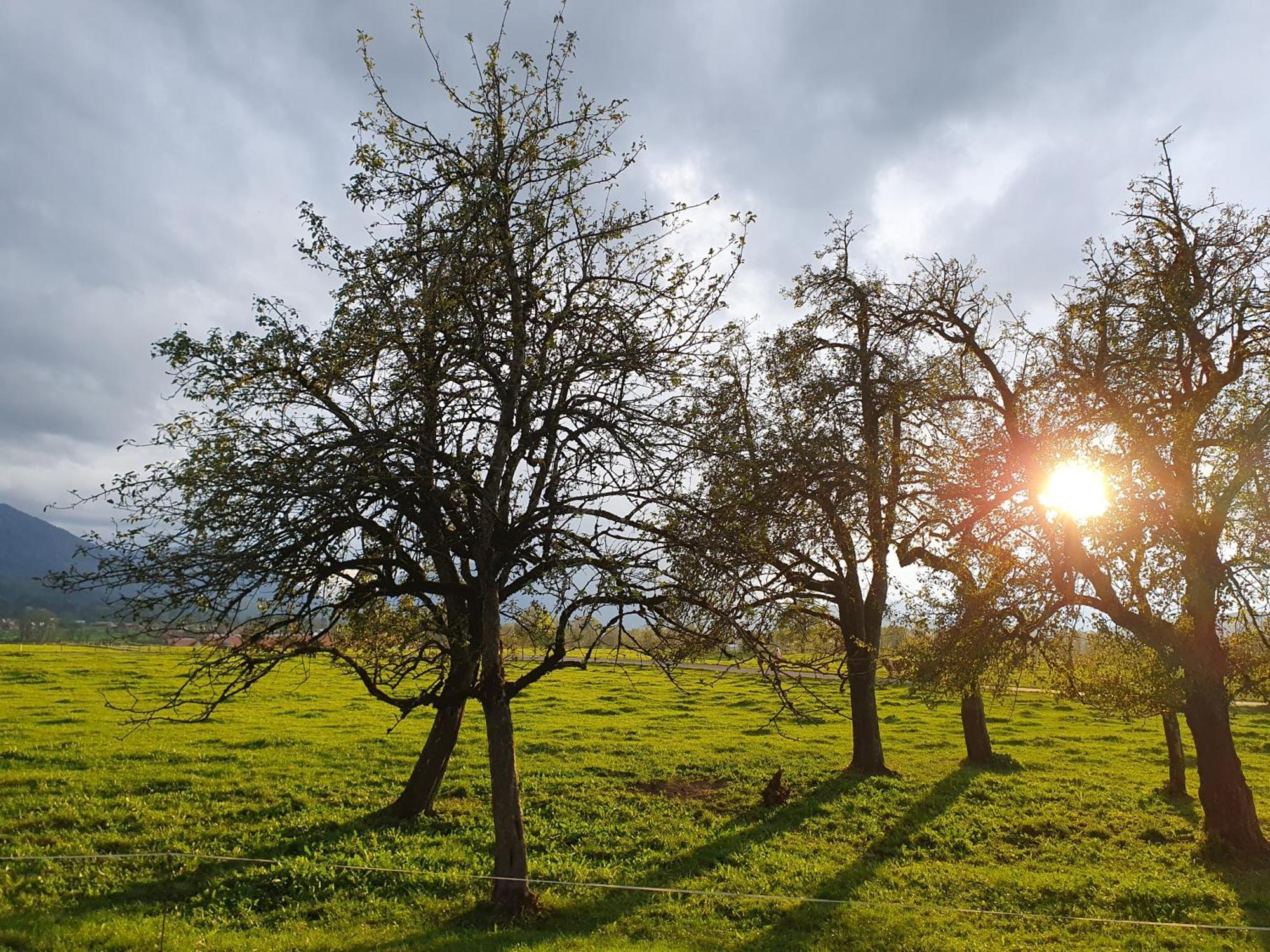 Bergeblick Bichl An Der Ludlmuehle Διαμέρισμα Εξωτερικό φωτογραφία